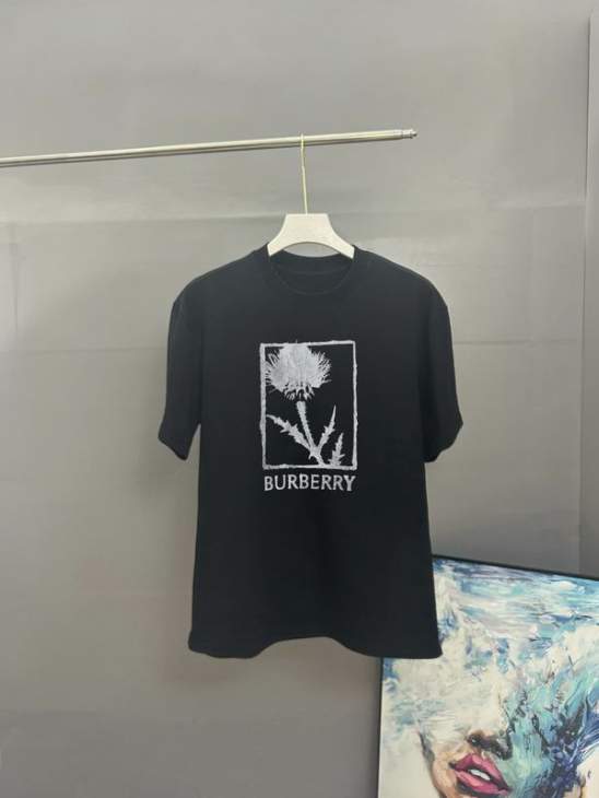 Picture of Burberry T Shirts Short _SKUBurberryS-XLxetr13819437